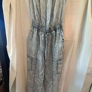 Evereve Light denim jumpsuit